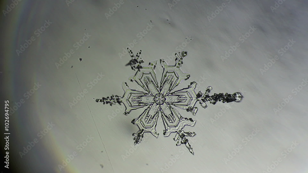 snowflake melts on the glass
