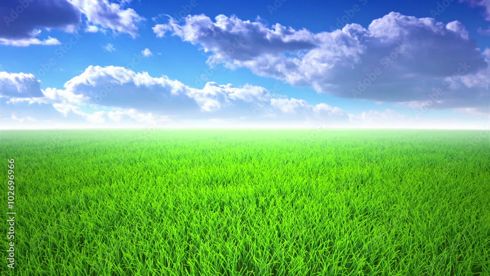 Flight over grass field, cloudscape time lapse Flight over grass field, cloudscape time lapse