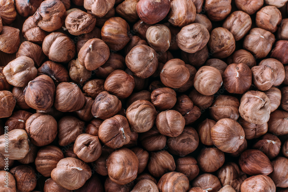 Many dried uncooked hazelnuts Many dried uncooked hazelnuts