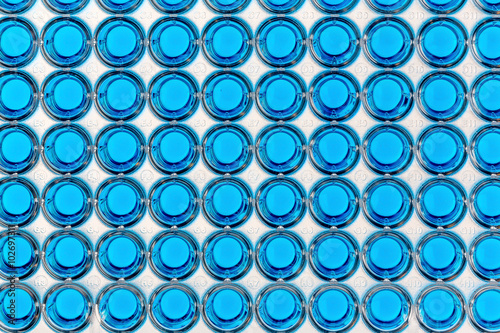 A 96 well plate with blue samples