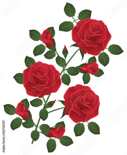 Rote Rosen