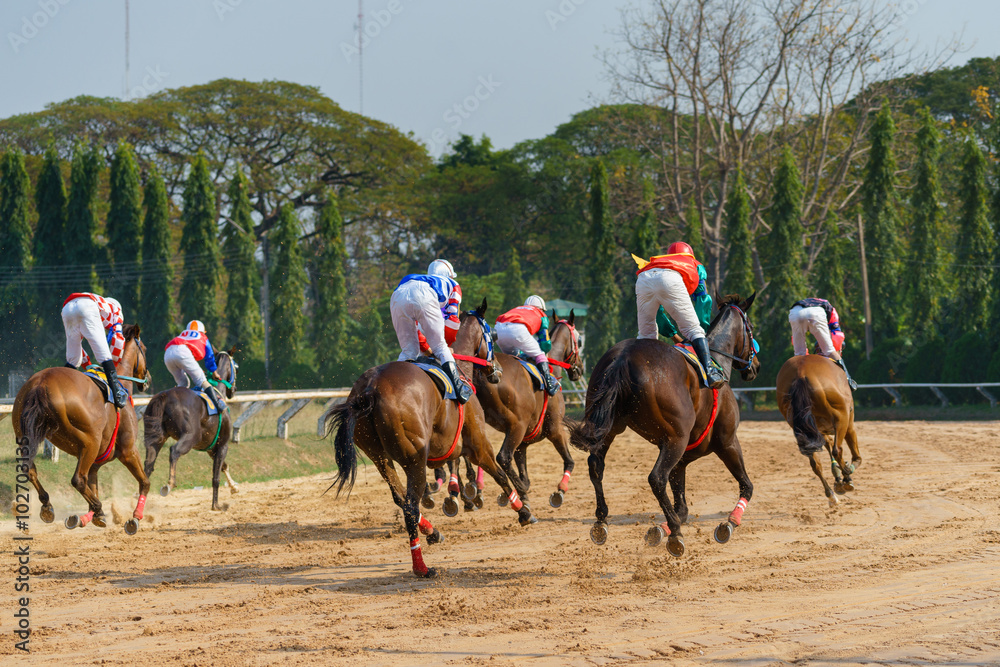 racing horses starting a race