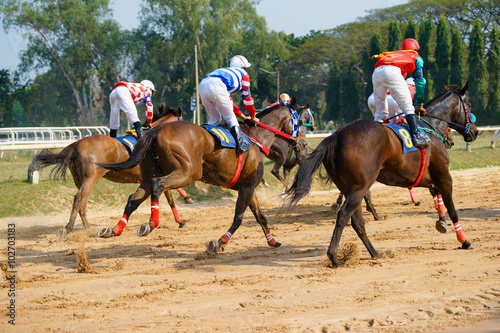 racing horses starting a race