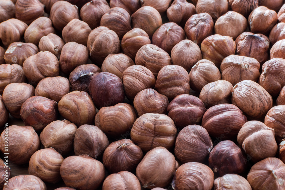 Many hazelnuts Many hazelnuts