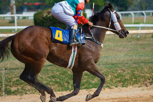 Closeup of racing horses starting a race