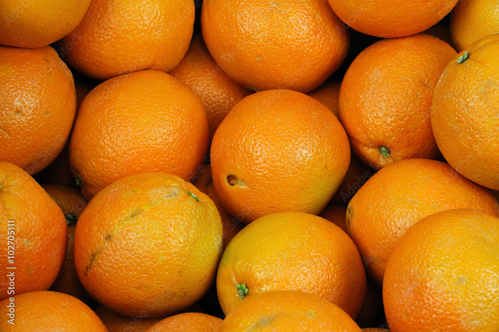 close up of piles of oranges in harvest season close up of piles of oranges in harvest season