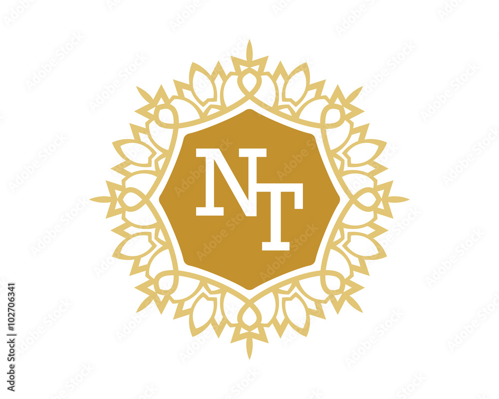 NT initial royal letter logo