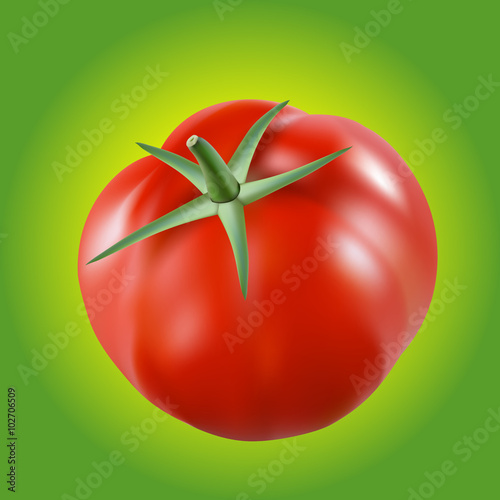 Beautiful tomato on green background