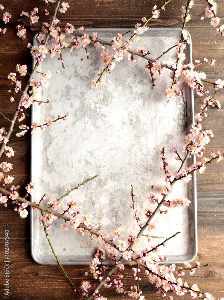 淡い桃色の梅の花 銀色のおぼん背景 Stock Photo Adobe Stock