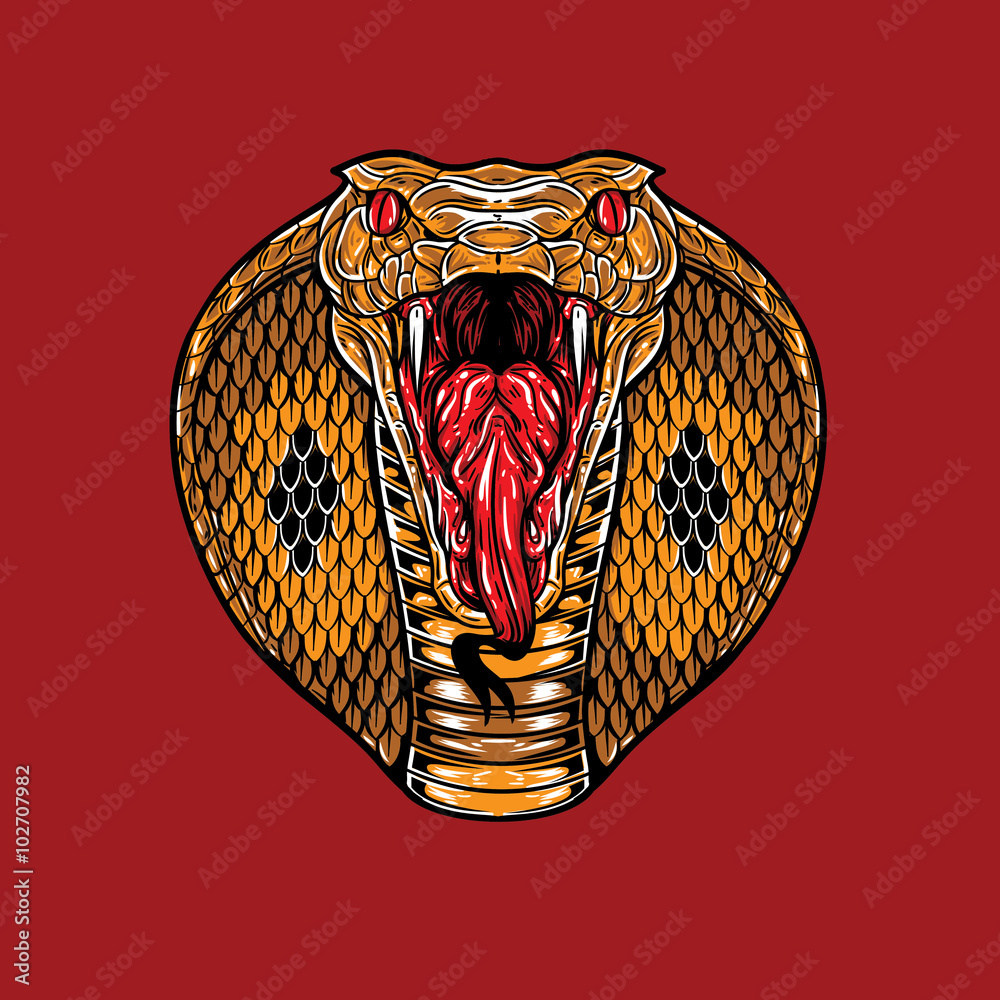 Naklejka premium Angry King Cobra Face. A King Cobra head showing angry expression. 