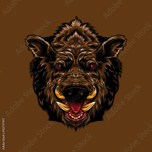 Angry Boar Face. A Boar head showing angry expression. 