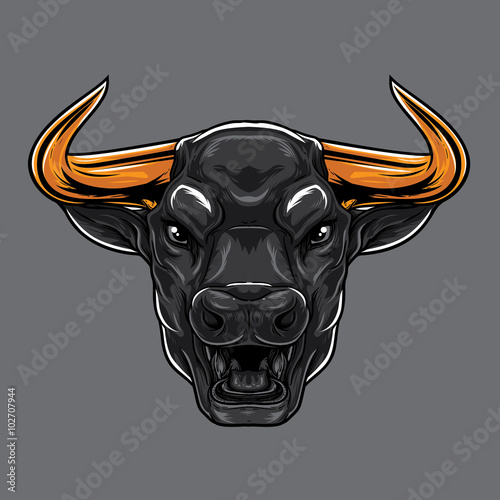 Angry Bull Face. A Bull head showing angry expression. 