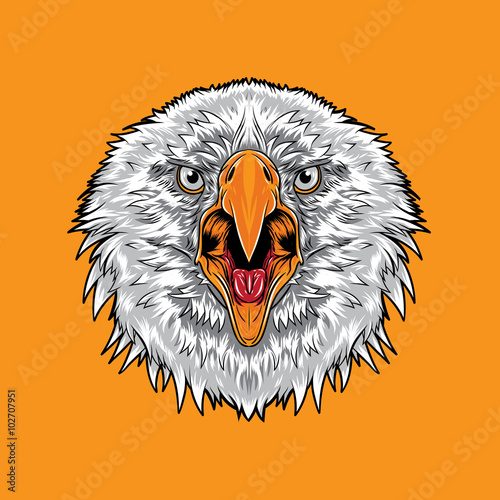 Angry Eagle Face. An Eagle head showing angry expression. 