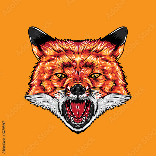 Angry Fox Face. A Fox head showing angry expression. 