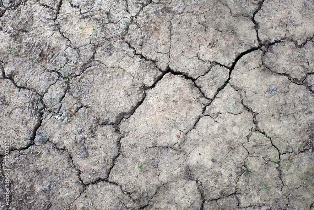 dry soil cracked background dry soil cracked background
