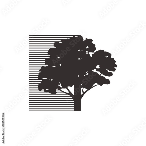 oak tree logo