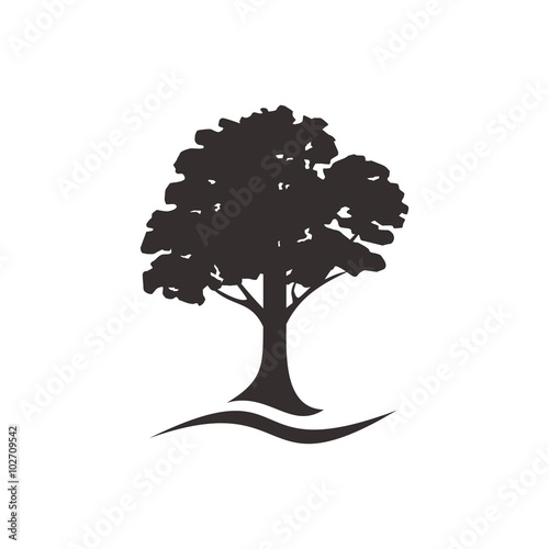 Fotografiet oak tree logo