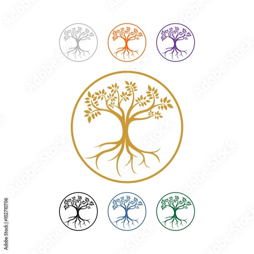 bonsai tree logo