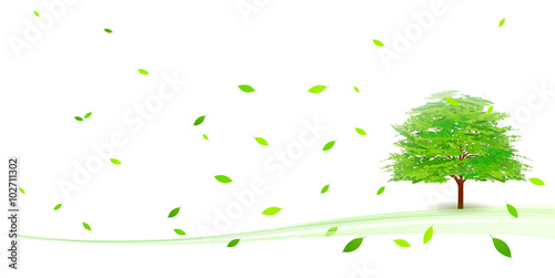 木　葉　新緑　背景