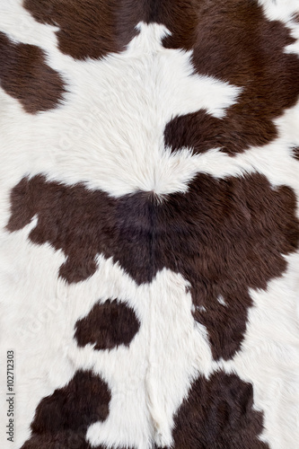 Cow skin texture