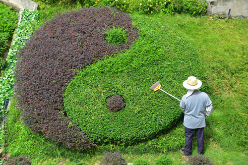 Gardener Decorate The Tao Shape Tree in the Garden of Sik Sik Yuen Wong Tai Sin Temple Hong Kong, China