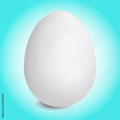 white-egg-isolated-on-white-background