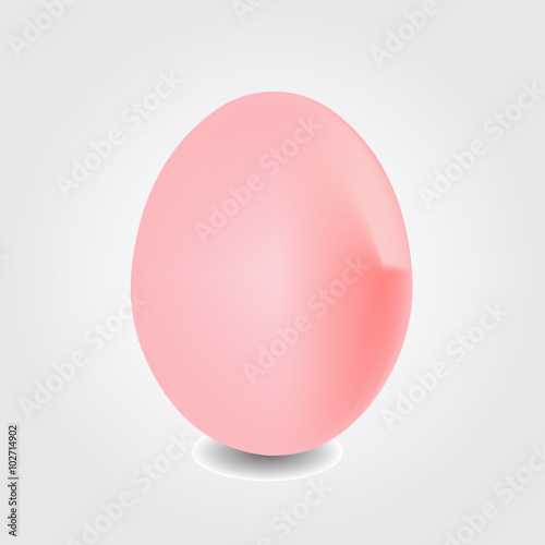 close-up-of-an-egg-isolated-on-white-background