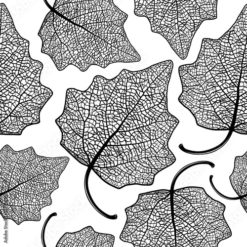 poplar  leaf skeleton pattern