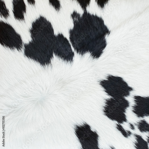 Cow skin texture