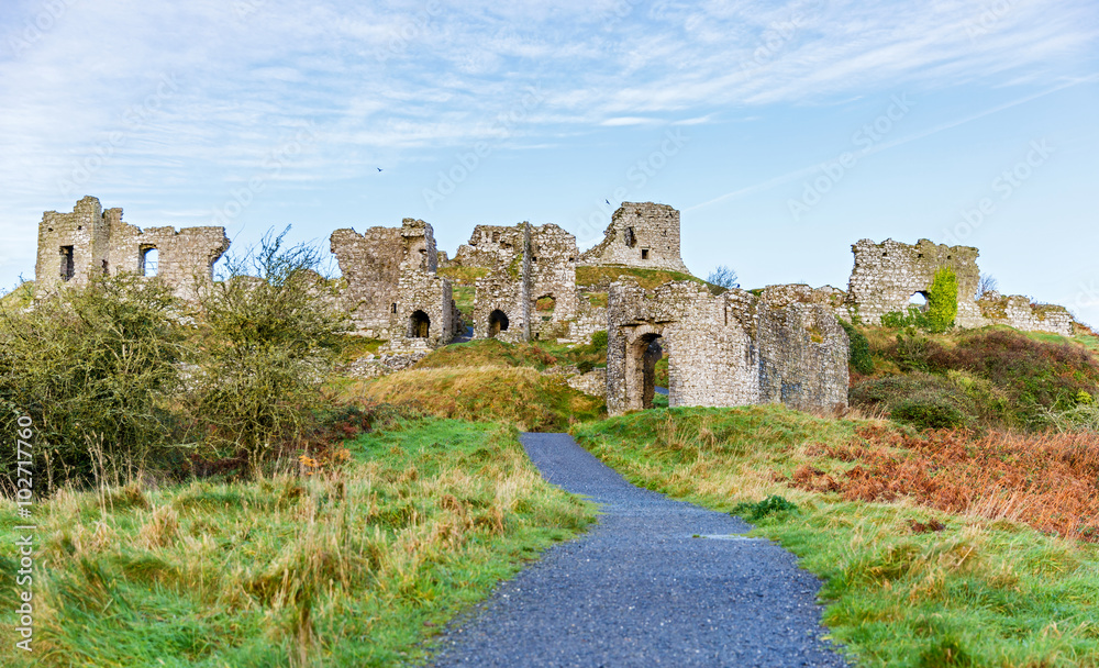 Dunamase castle ruins