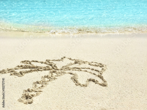 Drawing   Palm-tree   in the sand on a tropical island   Maldive
