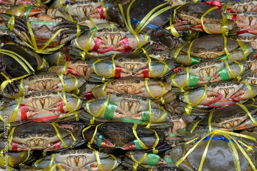 Background Tied Crabs in the Fresh Market