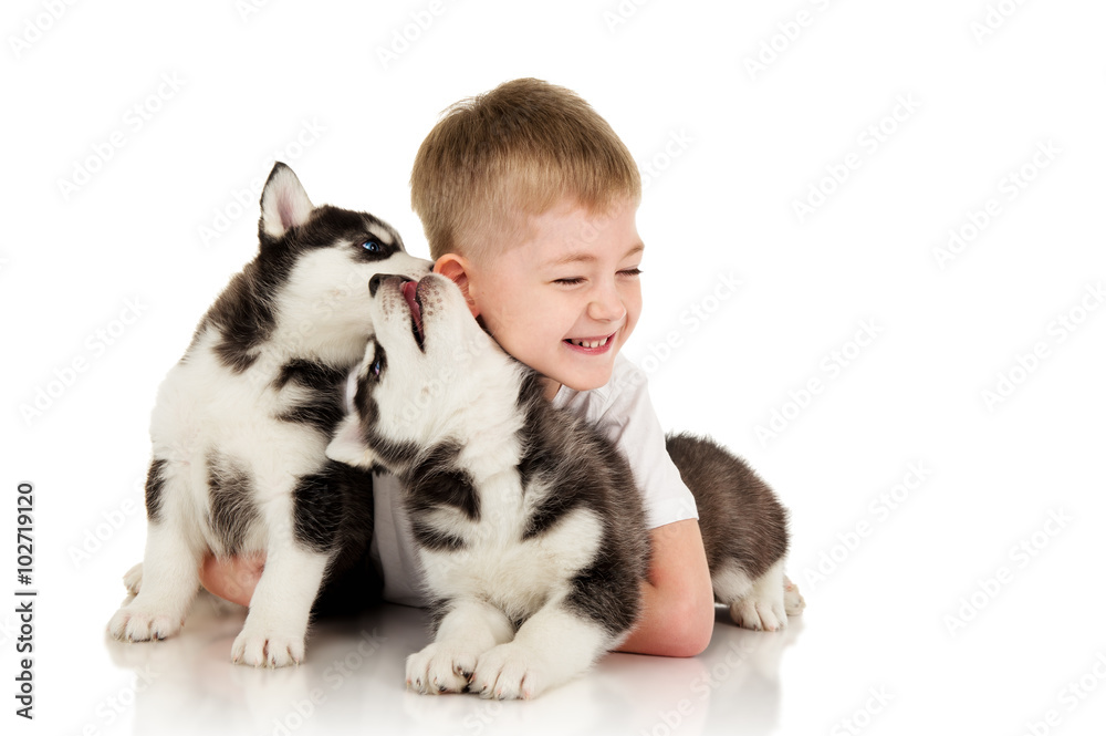 Boy with two husky puppies, isolated on white Boy with two husky puppies, isolated on white