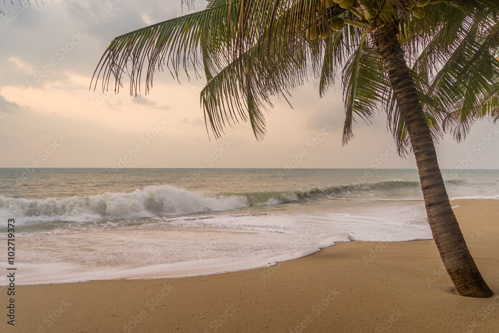 Gloomy weather on the tropical beach.