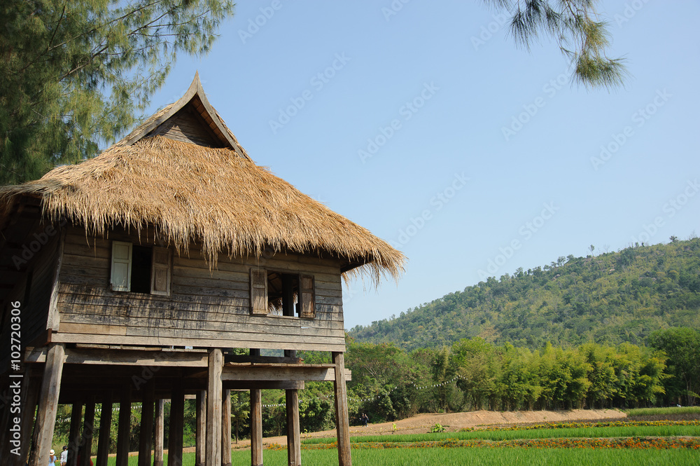 Hut on in the farm Hut on in the farm