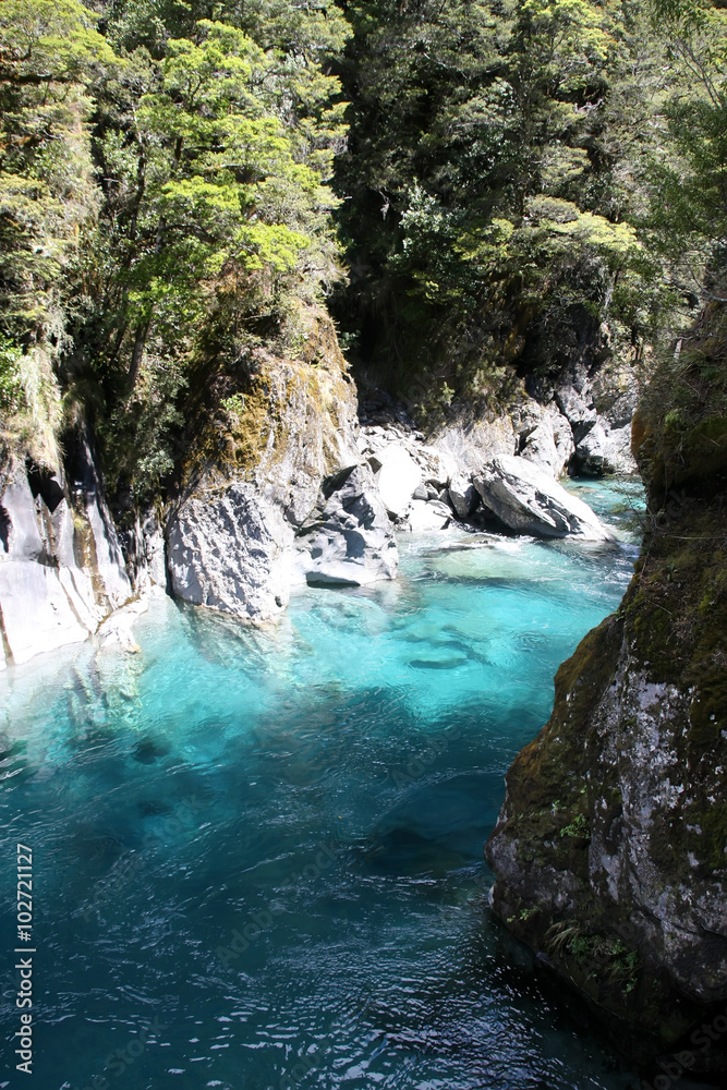 Fototapeta premium Haast River, Blue pond, New Zealand South Island