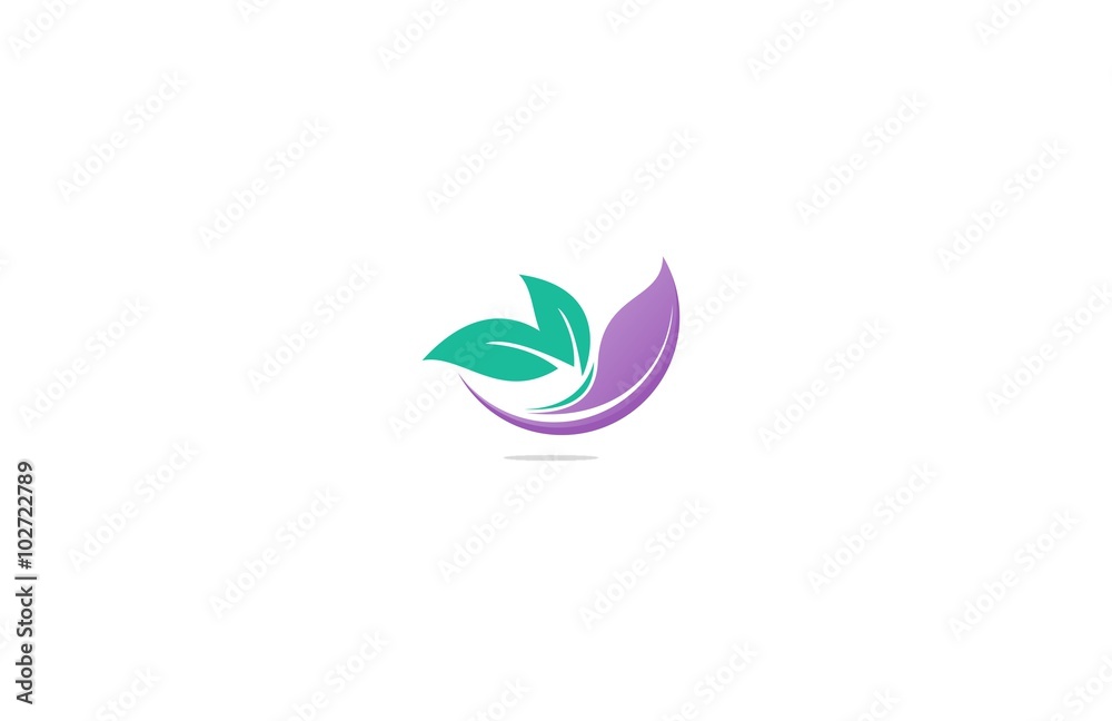 nature leaf skin care logo