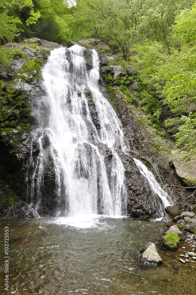 丹沢山地 雷滝