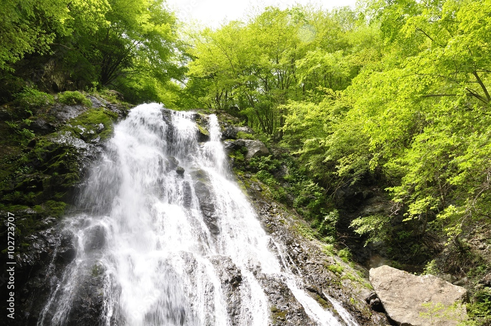 丹沢山地 雷滝 丹沢山地 雷滝