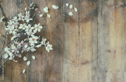 image of spring white cherry blossoms tree on wooden table 