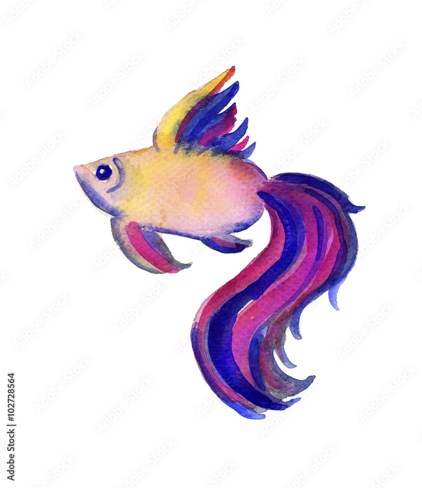 Fototapeta premium Beautiful watercolor vibrant picture of a fish