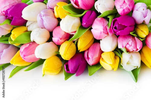 Fototapeta Naklejka Na Ścianę i Meble -  Tulpen
