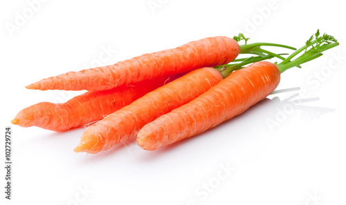 Fresh carrots vegetable on white background