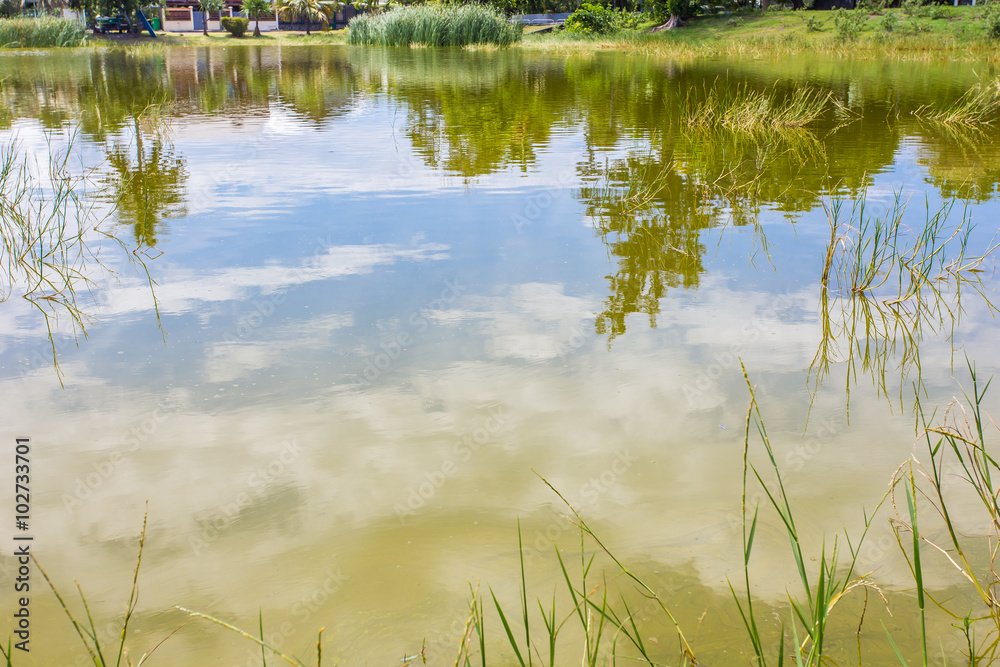 Obraz premium plan d'eau naturel saumâtre de l'Etang-Salé-les-Bains, île de la Réunion 
