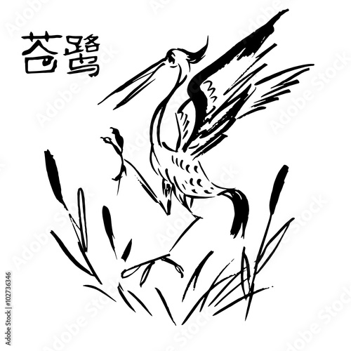 Hand drawn vector ink illustration of heron on a reeds. Chinese hieroglyph meaning "heron".