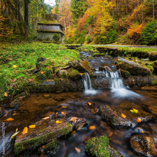 Carpathian Mountains. The mountain river in the autumn forest