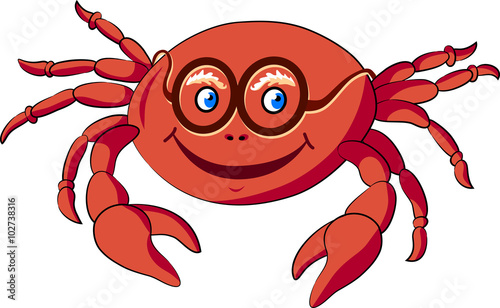 Crab