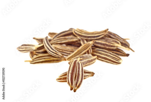 Close up of cumin seeds on white background
