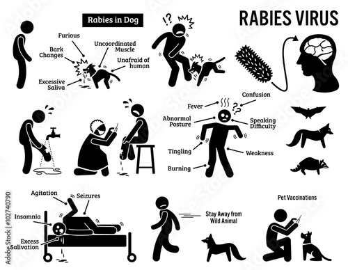 Rabies Virus in Human and Animal Stick Figure Pictogram Icons photo