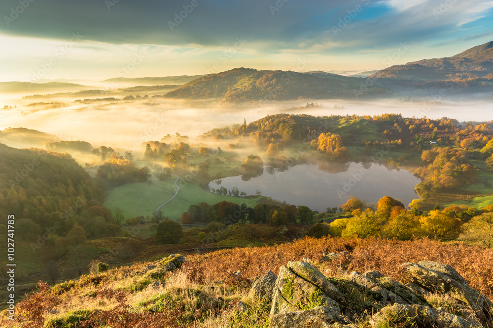 Beautiful Autumnal fog lingering over Windermere valley with Loughrigg Tarn in foreground. 